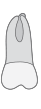 d16