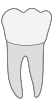 d19