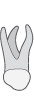 db